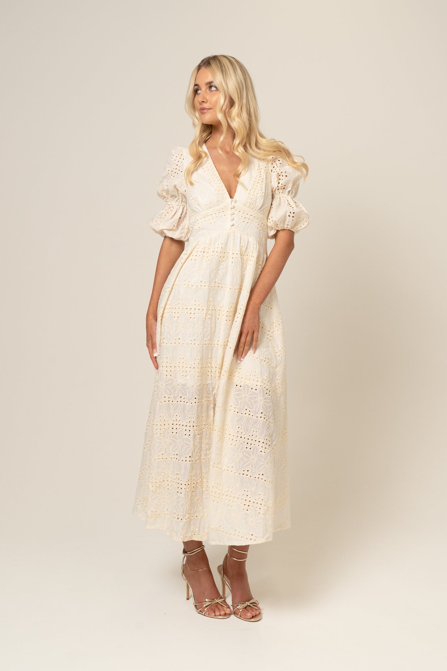 Alicia V-Neck Embroidery Maxi Dress